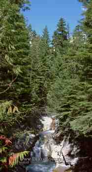 Drive Around Mt. Rainier - Comet Falls