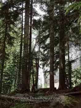 Drive Around Mt. Rainier - Comet Falls
