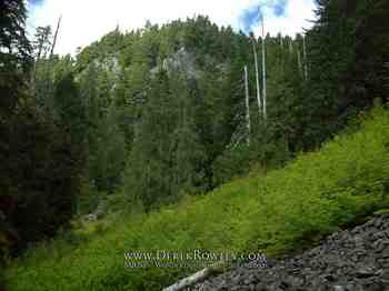 Drive Around Mt. Rainier - Comet Falls