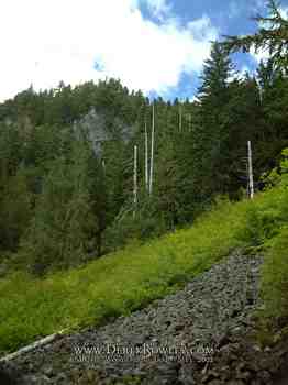 Drive Around Mt. Rainier - Comet Falls