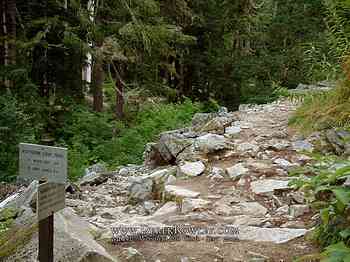 Rainier Hike - Wonderland Trail - Day 01