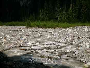 Rainier Hike - Wonderland Trail - Day 01