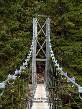 Rainier Hike - Wonderland Trail - Day 01