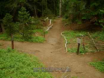 Rainier Hike - Wonderland Trail - Day 02