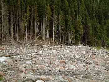 Rainier Hike - Wonderland Trail - Day 02