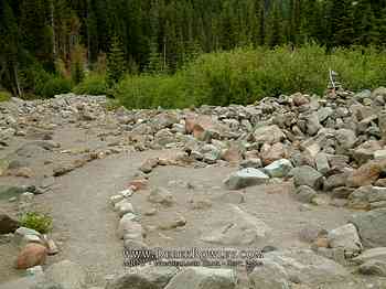 Rainier Hike - Wonderland Trail - Day 02