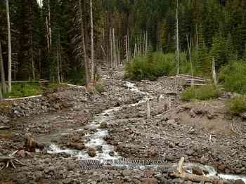 Rainier Hike - Wonderland Trail - Day 02