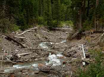 Rainier Hike - Wonderland Trail - Day 02