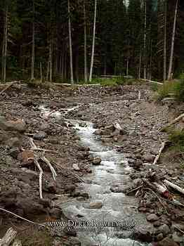 Rainier Hike - Wonderland Trail - Day 02