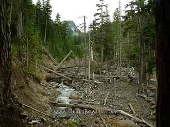 Rainier Hike - Wonderland Trail - Day 02