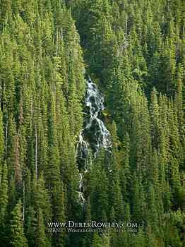 Rainier Hike - Wonderland Trail - Day 02