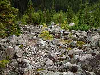 Rainier Hike - Wonderland Trail - Day 02