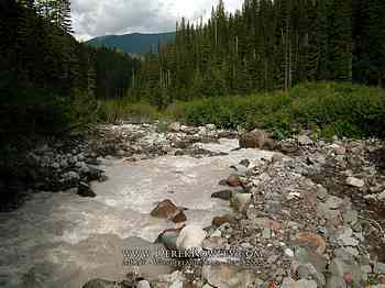 Rainier Hike - Wonderland Trail - Day 02