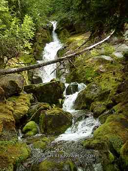 Rainier Hike - Wonderland Trail - Day 02