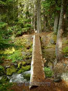 Rainier Hike - Wonderland Trail - Day 02