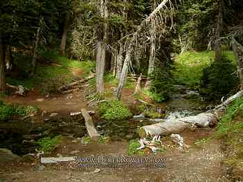 Rainier Hike - Wonderland Trail - Day 02