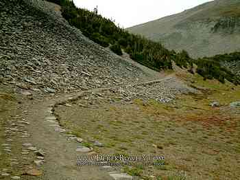 Rainier Hike - Wonderland Trail - Day 02