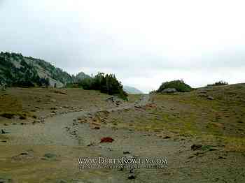 Rainier Hike - Wonderland Trail - Day 02