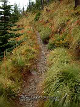 Rainier Hike - Wonderland Trail - Day 12