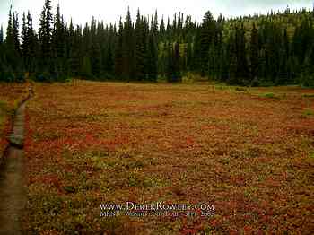 Rainier Hike - Wonderland Trail - Day 12