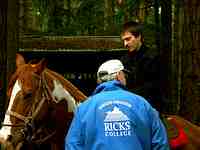 Vashon Island Horse Riding
