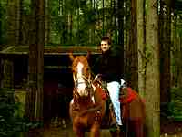 Vashon Island Horse Riding