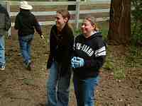 Vashon Island Horse Riding