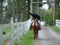 Vashon Island Horse Riding