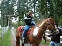 Vashon Island Horse Riding