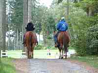 Vashon Island Horse Riding