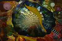 Tacoma Museum of Glass - Washington State History Museum & Dale Chihuly Glass artwork.