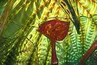 Tacoma Museum of Glass - Washington State History Museum & Dale Chihuly Glass artwork.