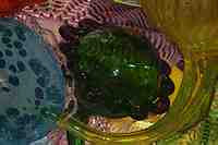 Tacoma Museum of Glass - Washington State History Museum & Dale Chihuly Glass artwork.