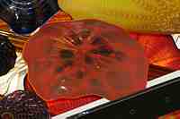 Tacoma Museum of Glass - Washington State History Museum & Dale Chihuly Glass artwork.