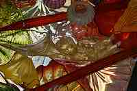 Tacoma Museum of Glass - Washington State History Museum & Dale Chihuly Glass artwork.