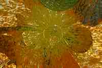 Tacoma Museum of Glass - Washington State History Museum & Dale Chihuly Glass artwork.