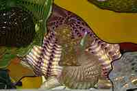 Tacoma Museum of Glass - Washington State History Museum & Dale Chihuly Glass artwork.