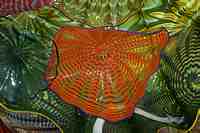 Tacoma Museum of Glass - Washington State History Museum & Dale Chihuly Glass artwork.
