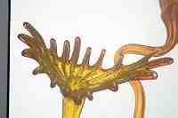 Tacoma Museum of Glass - Washington State History Museum & Dale Chihuly Glass artwork.
