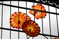 Tacoma Museum of Glass - Washington State History Museum & Dale Chihuly Glass artwork.