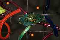 Tacoma Museum of Glass - Washington State History Museum & Dale Chihuly Glass artwork.
