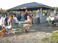 LDS Tacoma Institute BBQ Closing Social