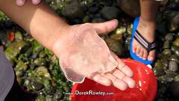 Derek Rowley & Kelly Besett at Sunnyside Beach, WA