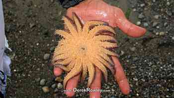 Derek Rowley & Kelly Besett at Sunnyside Beach, WA