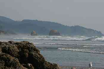 Rowley Family - Cannon Beacch Oregon - Tillamook Cheese Factory
