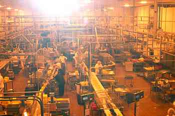 Rowley Family - Cannon Beacch Oregon - Tillamook Cheese Factory