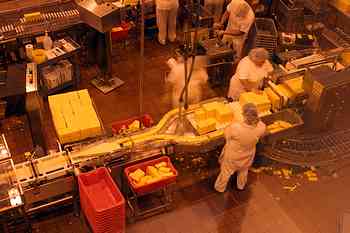 Rowley Family - Cannon Beacch Oregon - Tillamook Cheese Factory