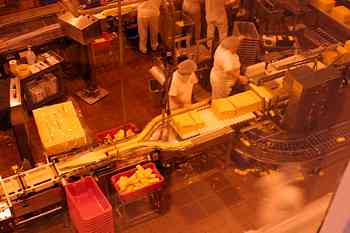 Rowley Family - Cannon Beacch Oregon - Tillamook Cheese Factory