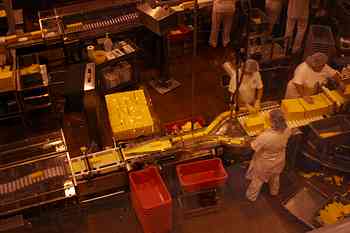 Rowley Family - Cannon Beacch Oregon - Tillamook Cheese Factory