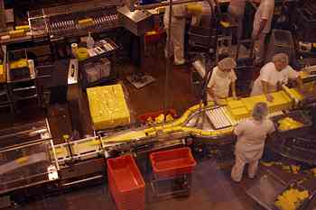 Rowley Family - Cannon Beacch Oregon - Tillamook Cheese Factory